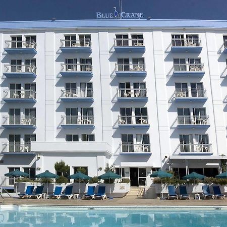 Blue Crane Hotel Apts Limassol Exterior photo