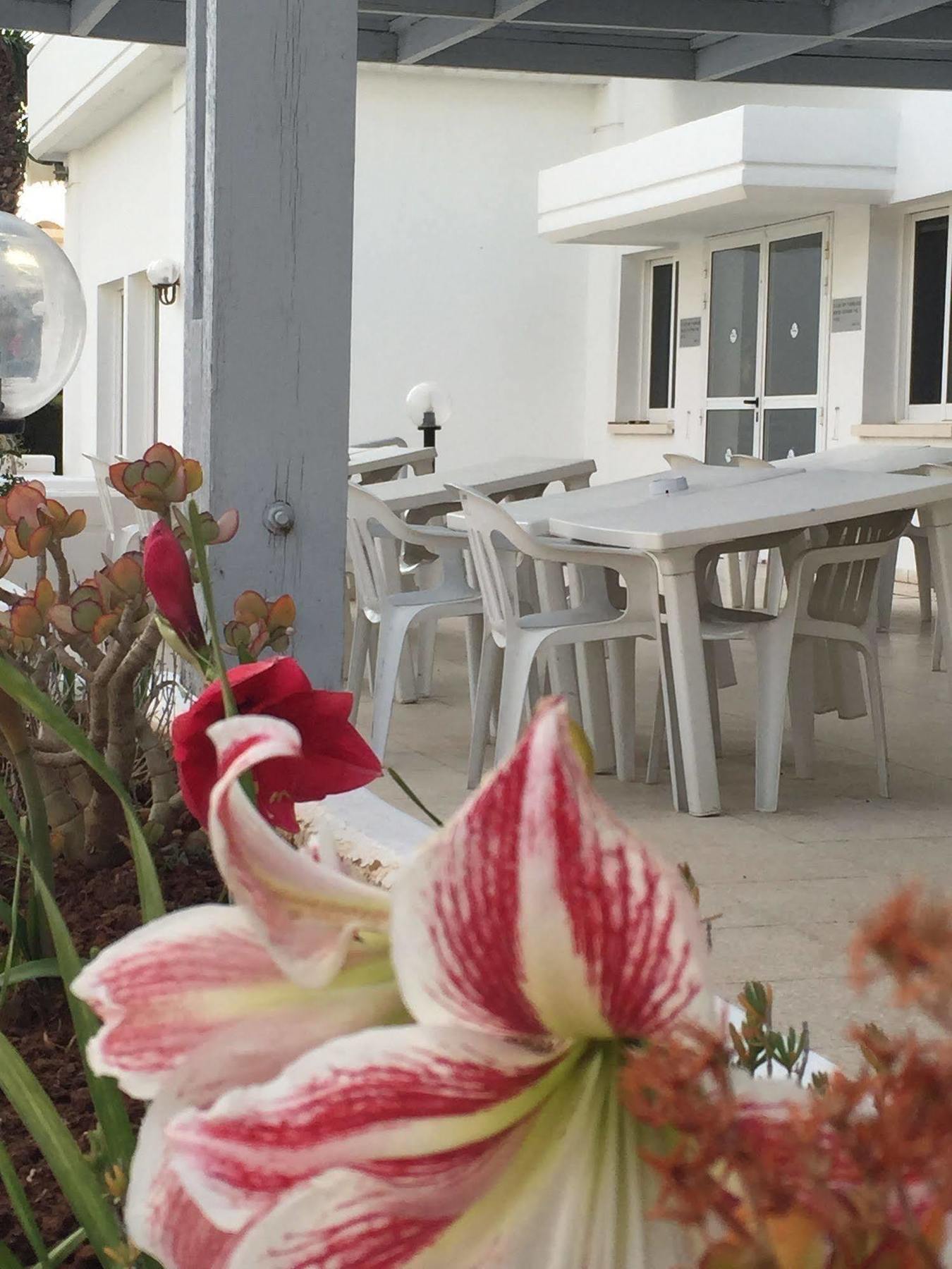 Blue Crane Hotel Apts Limassol Exterior photo